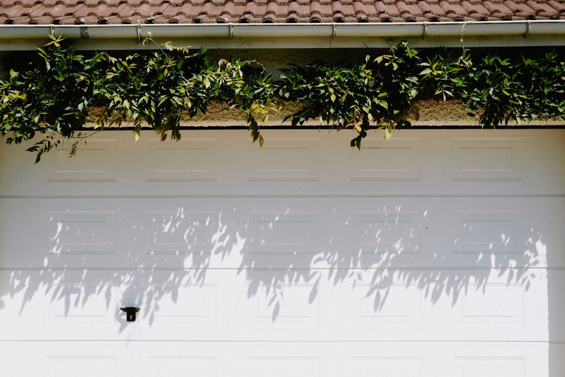 Garage Door
